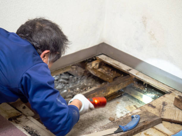 Best Water Damage Restoration  in Rossmoor, NJ
