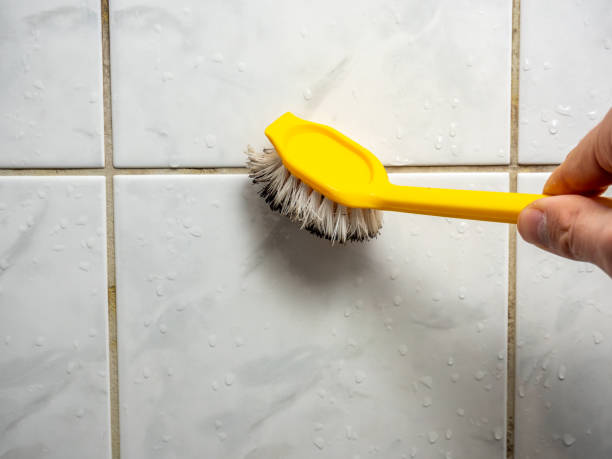 Best Fast Mold Removal  in Rossmoor, NJ