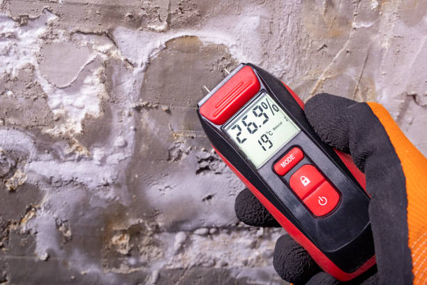  Rossmoor, NJ Mold Removal Pros