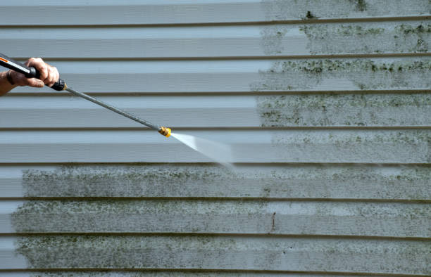 Best Mold Cleaning Services  in Rossmoor, NJ