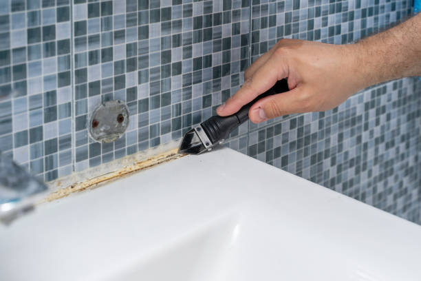 Mold Removal and Inspection in Rossmoor, NJ